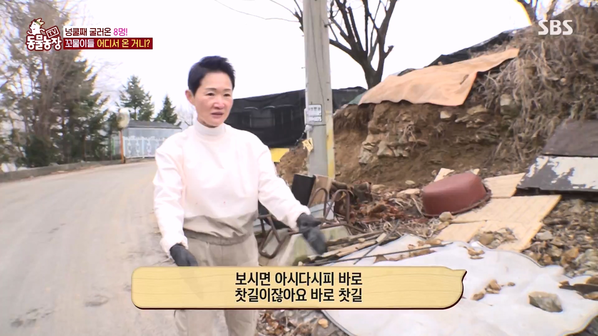 TV 동물농장.E1164.240324p-NEXT.mp4_20240324_172334.021.jpg