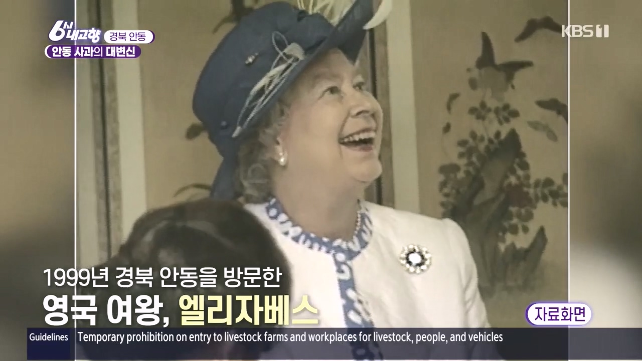 6시 내고향.E7907.231108p.H264-F1RST.mp4_20231108_202413.244.jpg