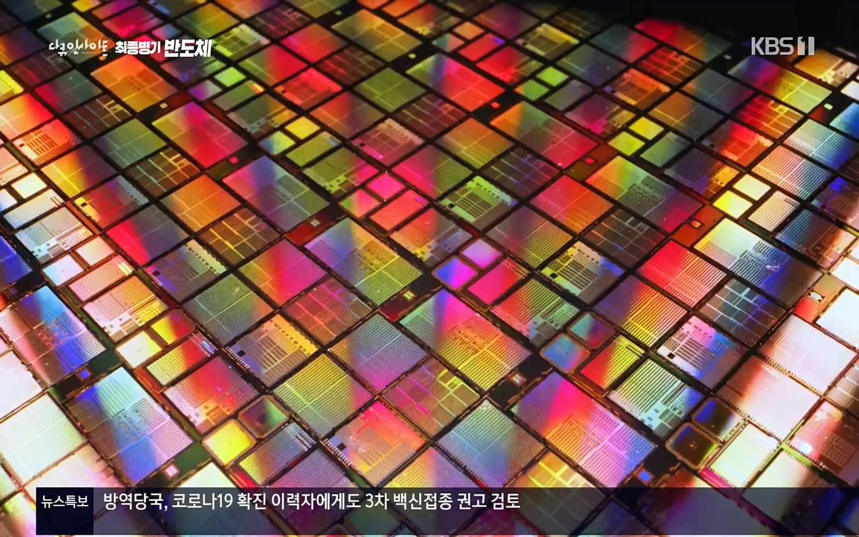 다큐 인사이트.E111.220414p.H264-F1RST.mp4_20220517_182706.338.jpg
