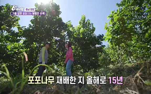 [7613회] 6시 내고향 - KBS7613회] 6시 내고향.ts_20220913_205402.921.jpg