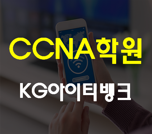  강남CCNA학원 라우터 스위치 한달마스터!