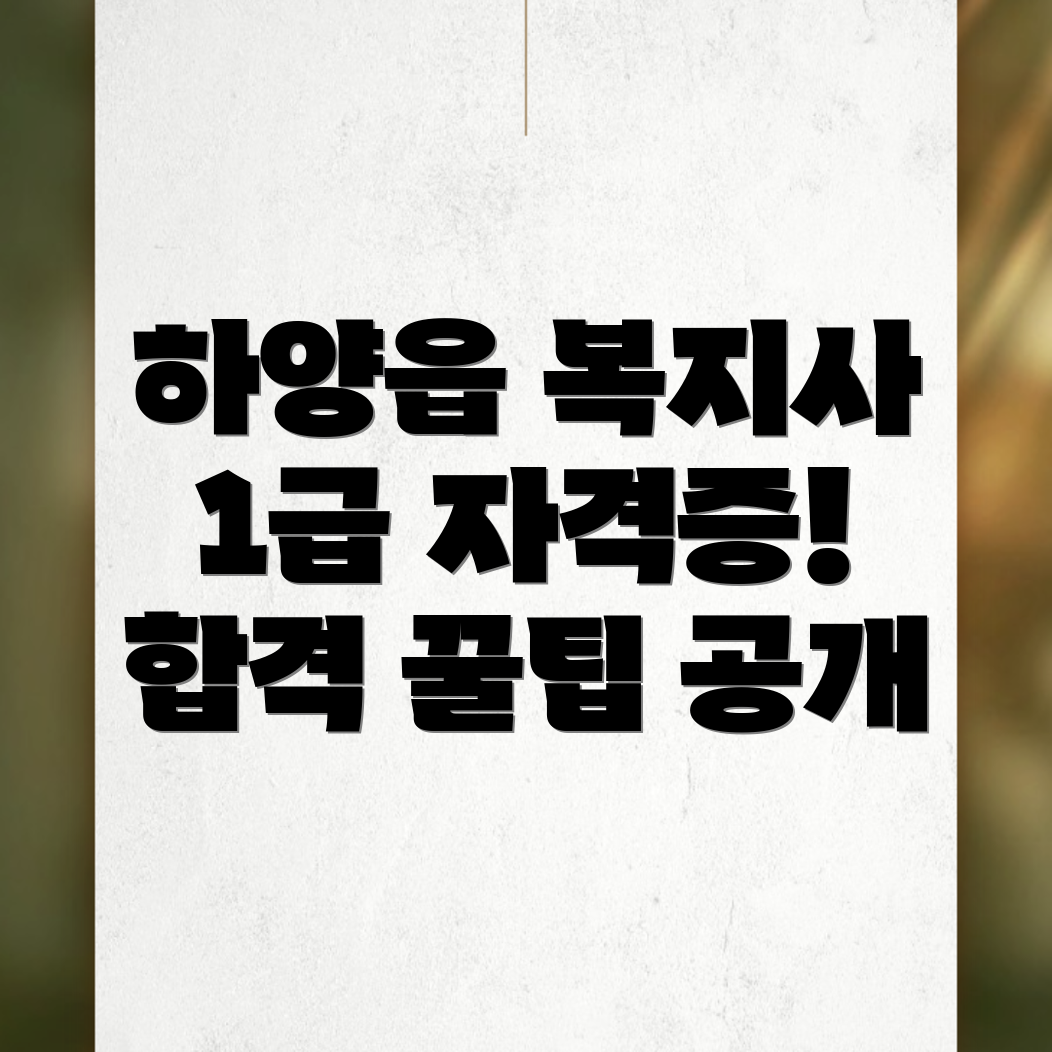사회복지사 1급
