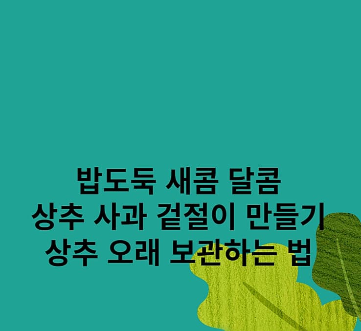 상추-겉절이-만들기-상추-보관법