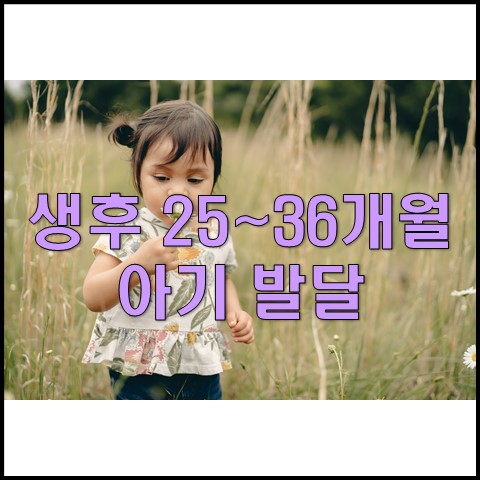  생후 25~36개월 아기 발달 및 육아 교육(신체발달,사회성,기타)