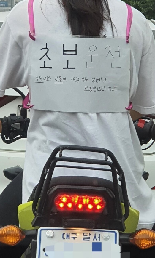  대구의 초보운전 클라쓰