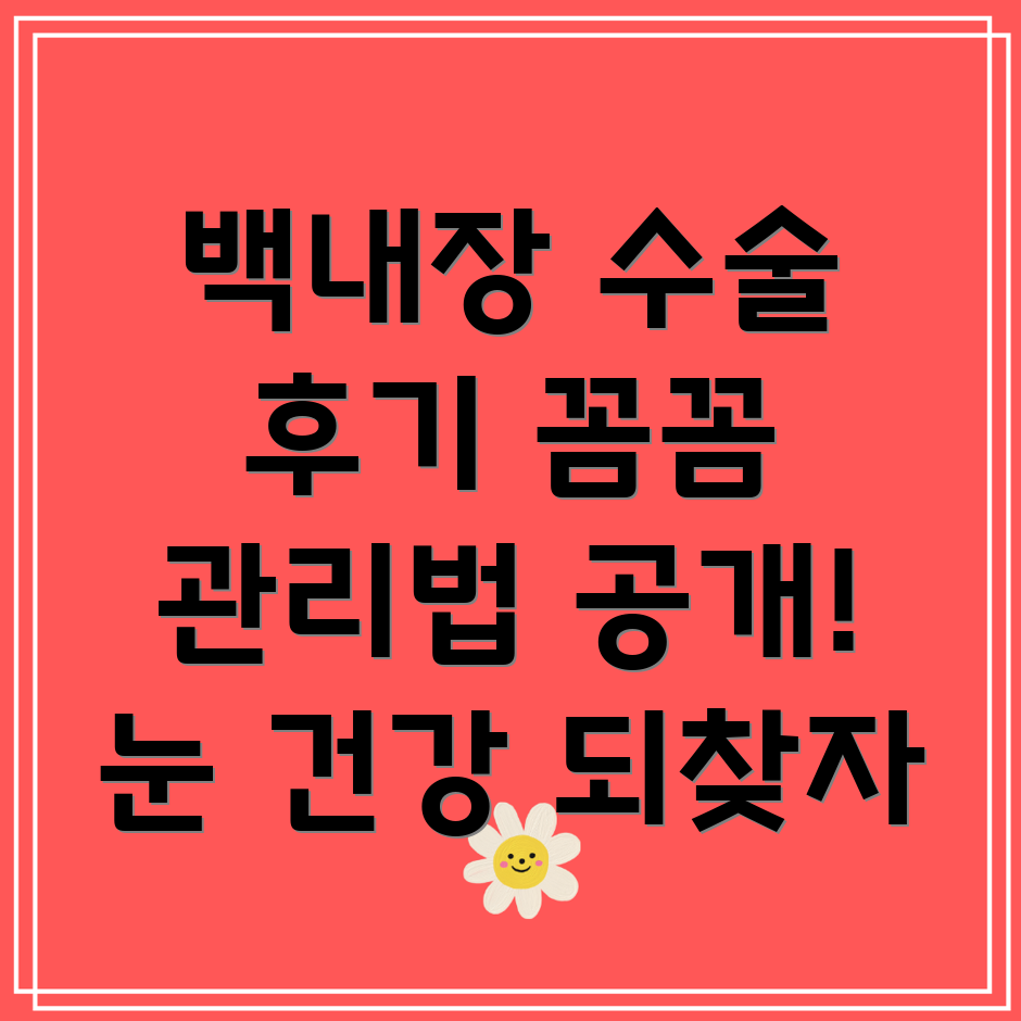 도화동 백내장 수술