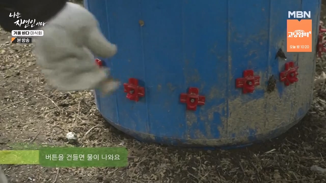 나는 자연인이다.E584.231214p-NEXT.mp4_20231214_194912.952.jpg