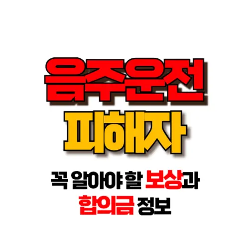 음주운전 피해자 썸네일