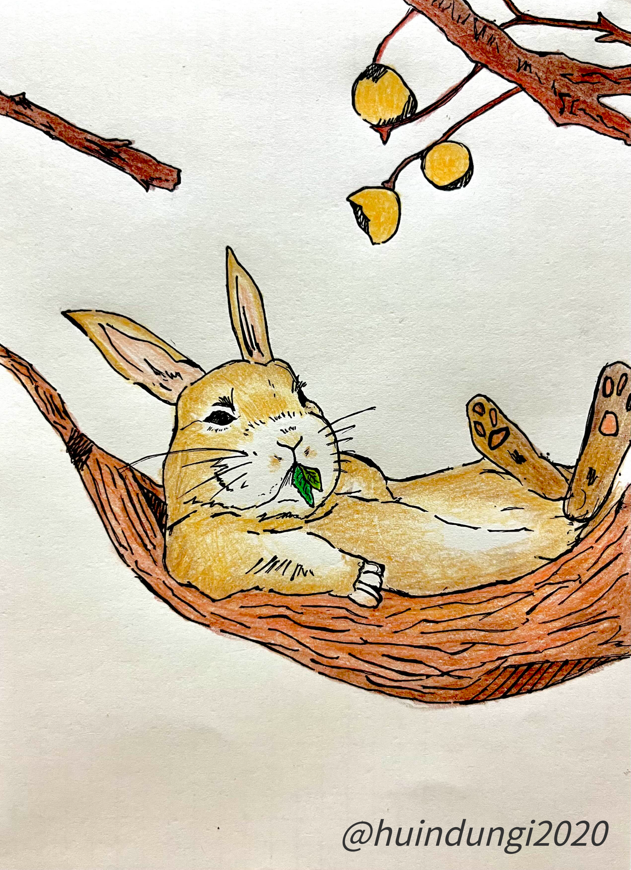  [취미생활 : 그림] 이봐 토끼는 처음이지?? (토끼 그림 : 펜그림)