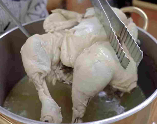  강아지 간식 - 닭고기 먹어도 될까?