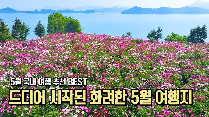 비행기 없이 떠나는 국내 숨은 여행지 발견하는 특별한 방법_3