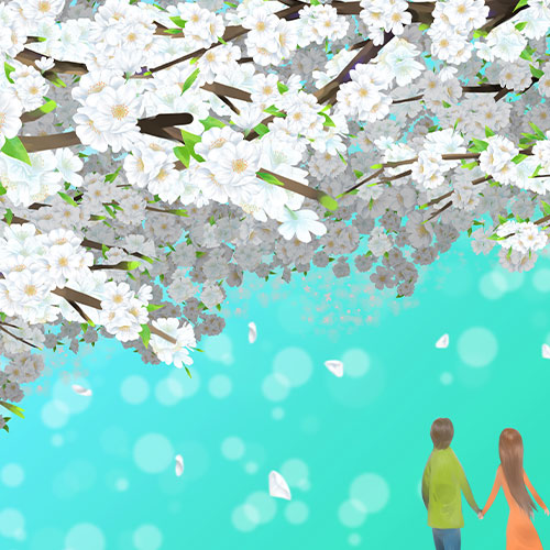  벚꽃 그림 일러스트 이미지