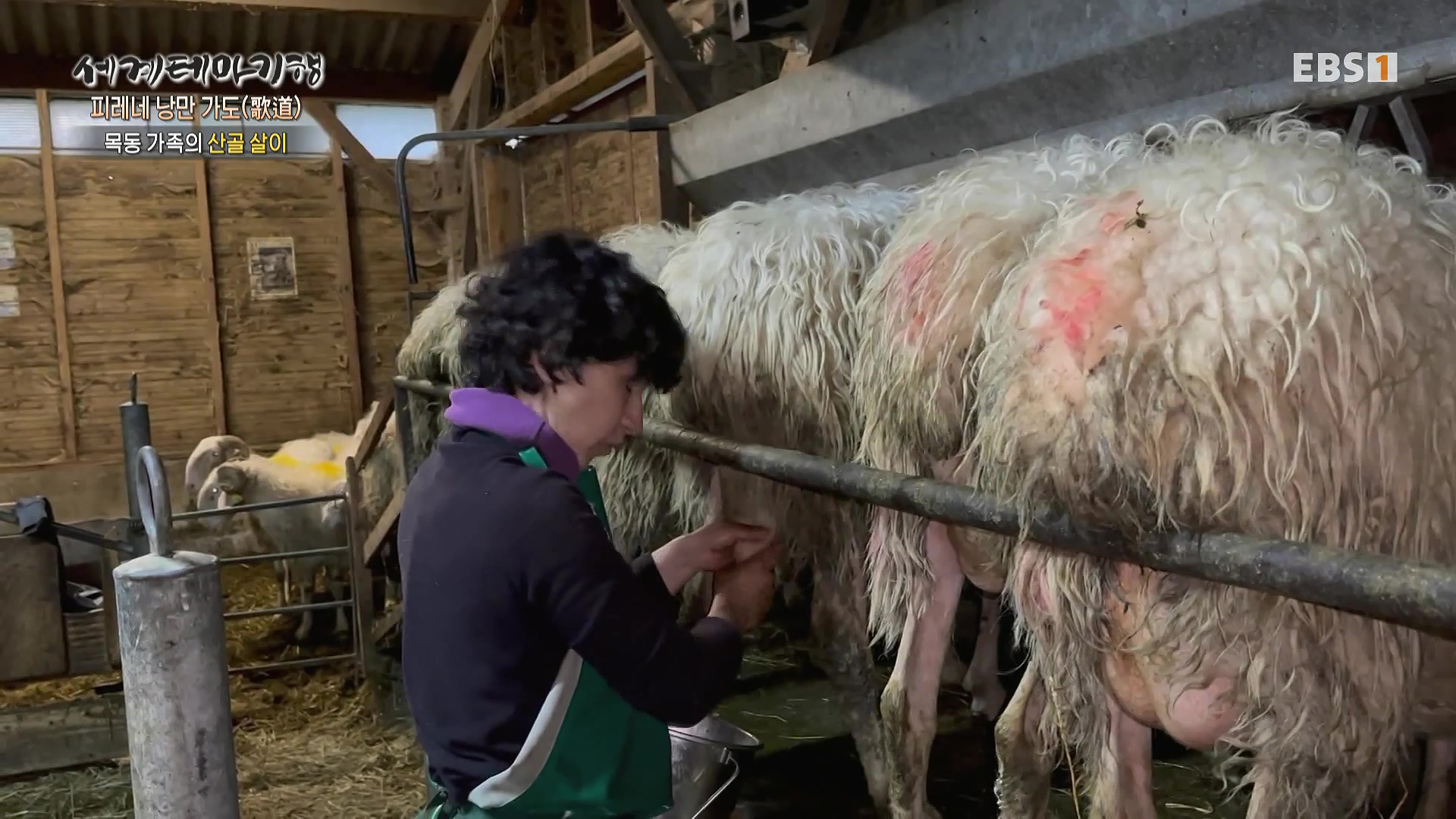 세계테마기행 231225 피레네 낭만 가도(歌道) -요정의 길을 따라, 비뉴말 트레킹0p.mp4_20240628_203850.369.jpg