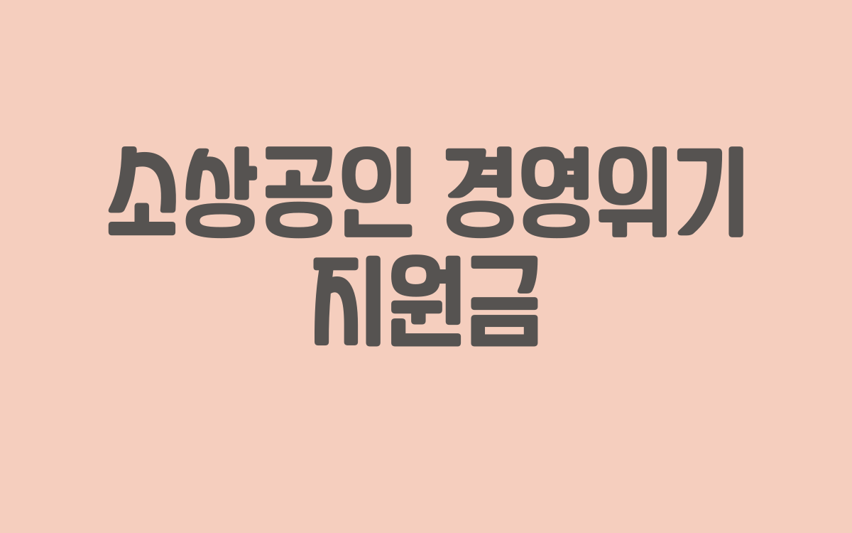  소상공인 경영위기지원금 사업이란?