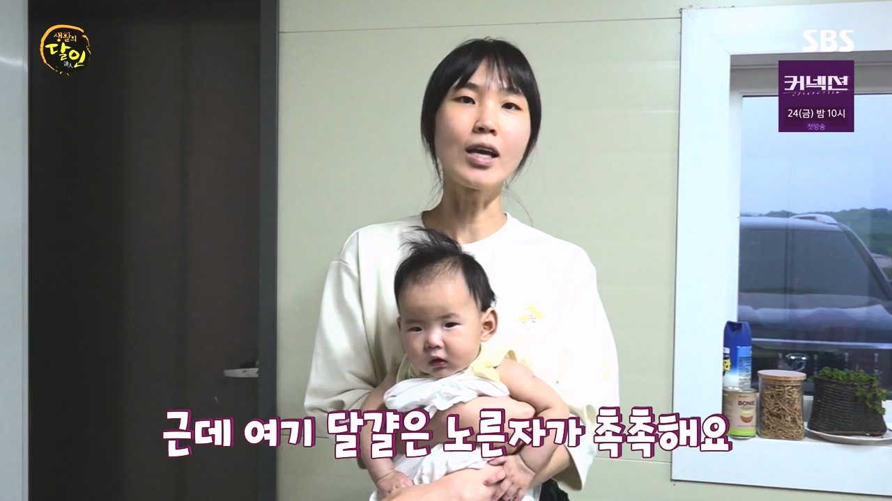 생활의 달인.E934.240507p-NEXT.mp4_20240507_195941.364.jpg