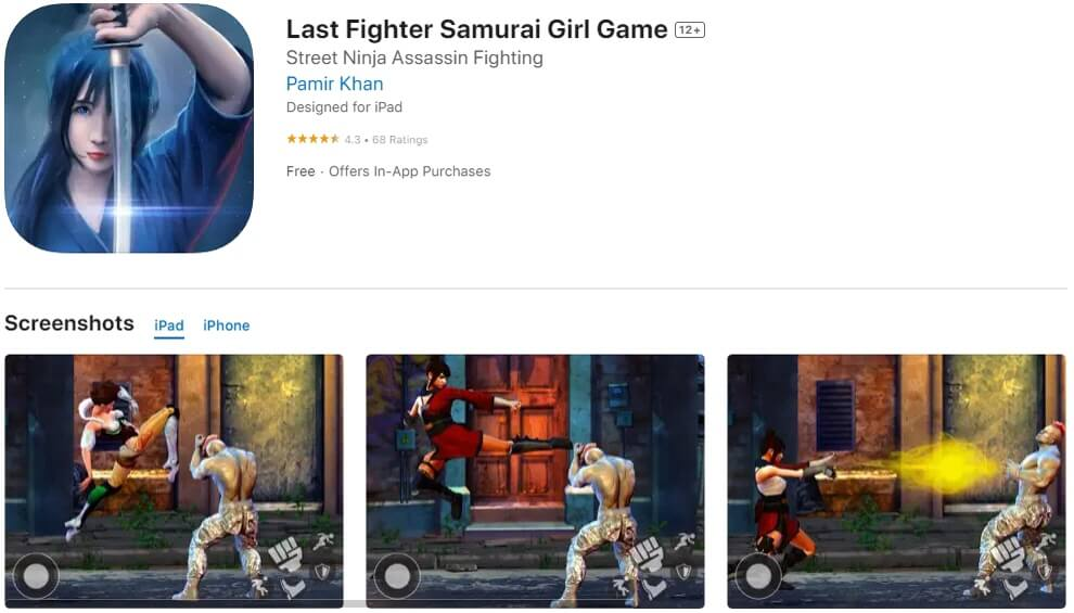 Last Fighter Samurai Girl Game