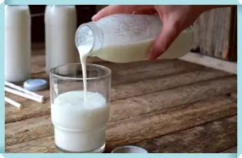 유통 기한이 지난 우유는 재활용하여 가죽 소파를 청소하는 데 사용할 수 있습니다.