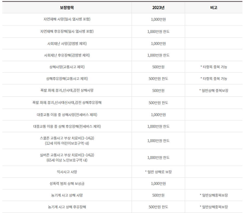 보장내용