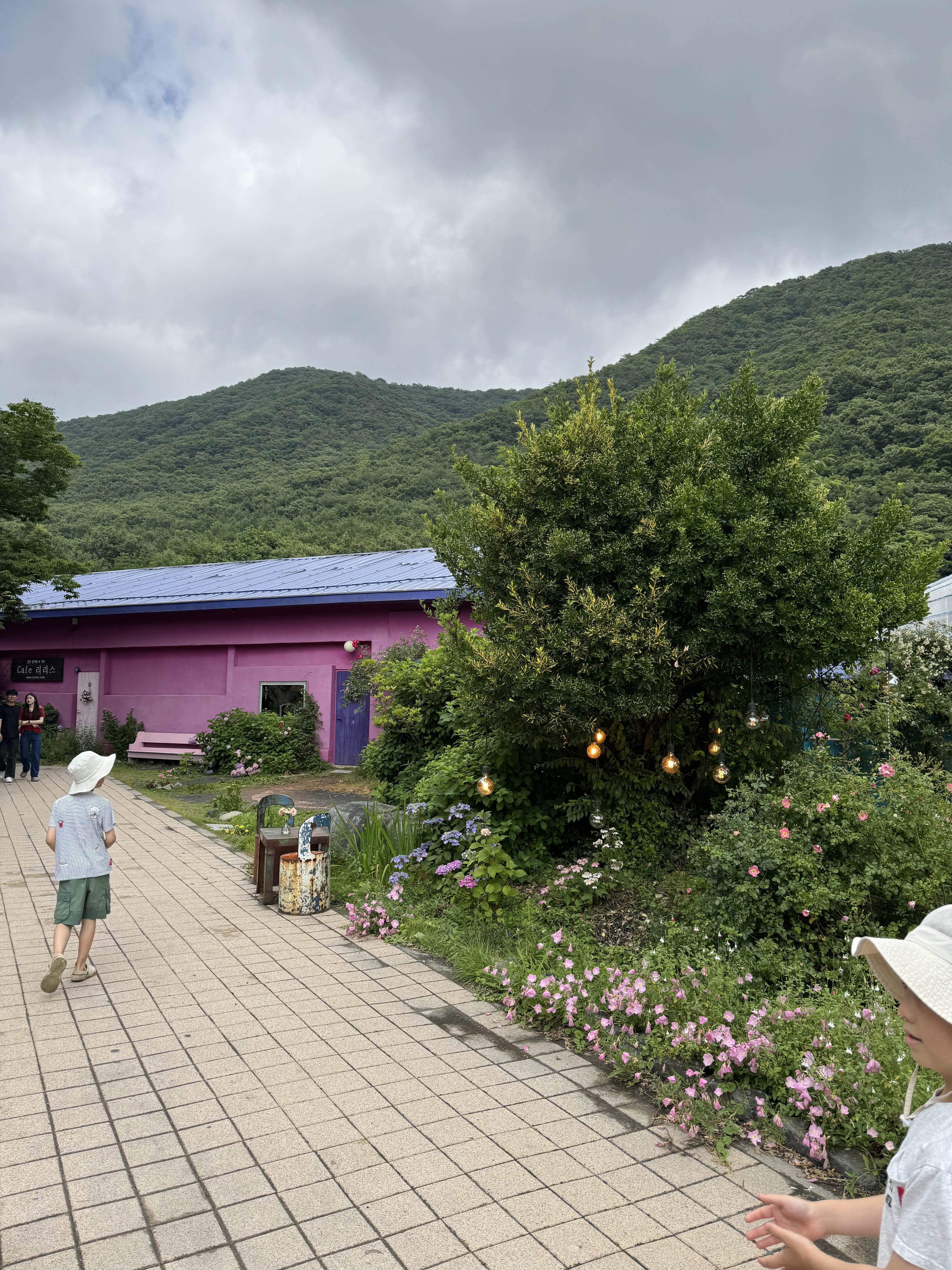 충남 보령 리리스카페