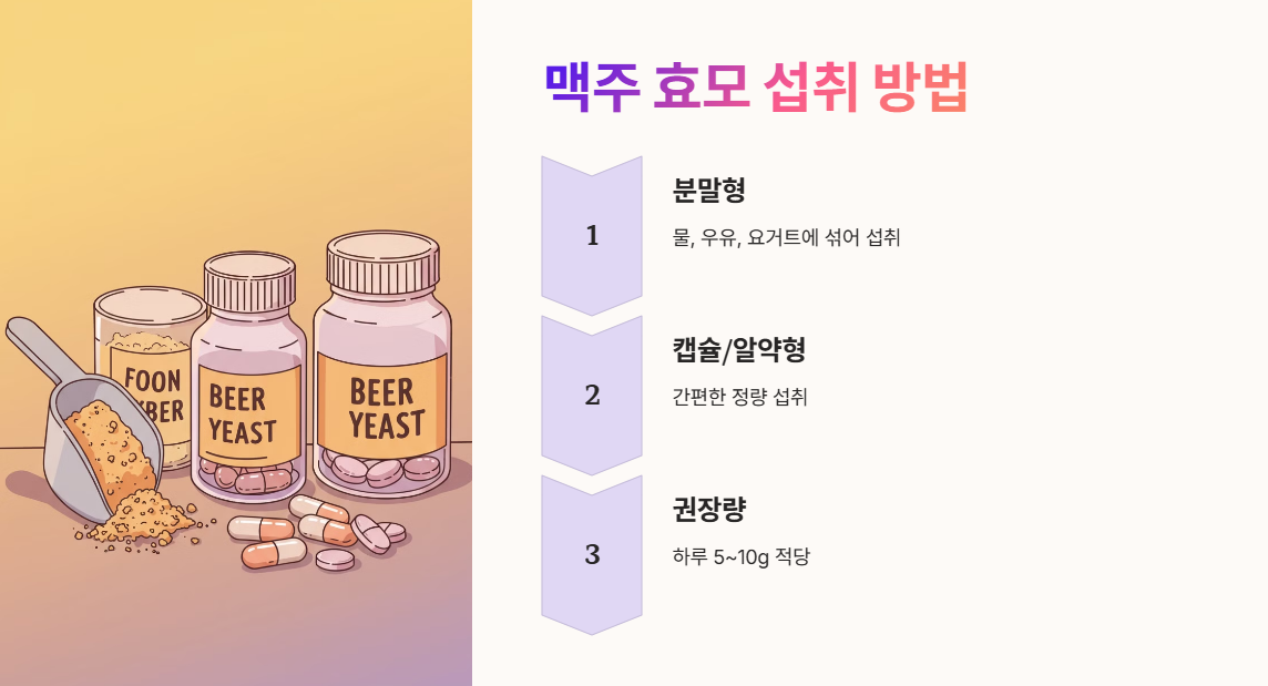 맥주 효모 먹는 법