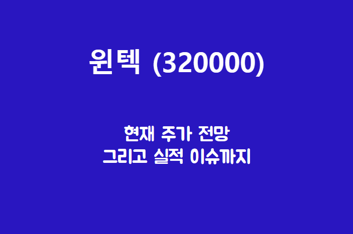  윈텍 (320000) 주가, 실적, 전망, 기업분석