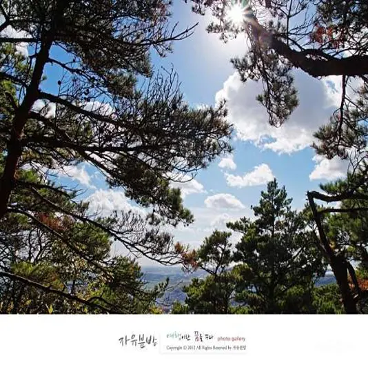 백화산