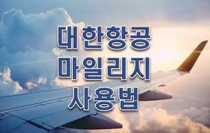  대한항공 마일리지 사용법 4가지 유의사항