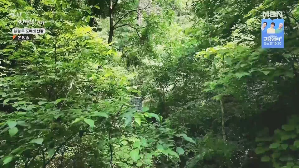 나는 자연인이다.E563.230719p.H264-F1RST.mp4_20230720_214636.857.jpg