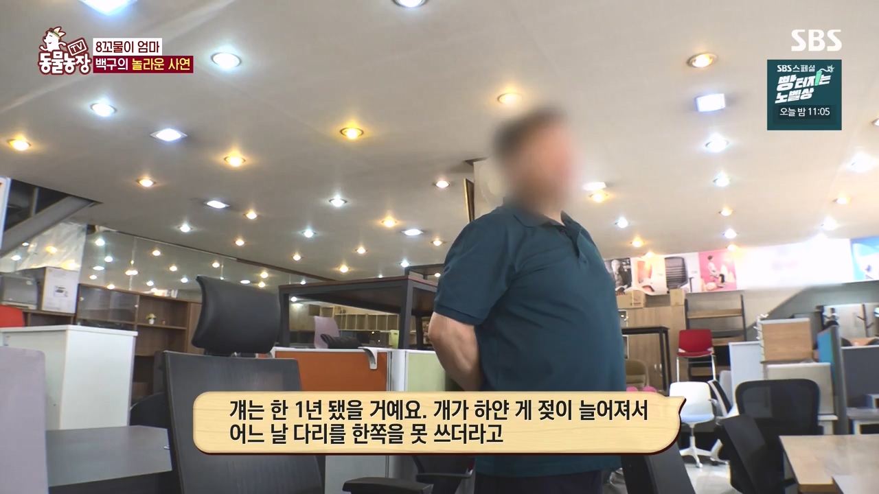 TV 동물농장.E1144.231106p-NEXT.mp4_20231105_175958.640.jpg