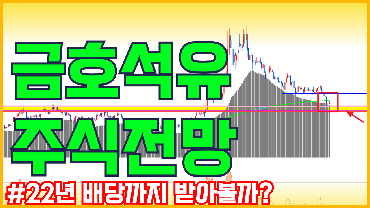  금호석유 주가전망 | 실적 피크아웃 , 반등 재료 분석 ( 배당주 )
