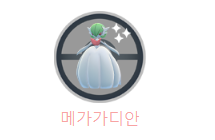 메가 레이드 배틀