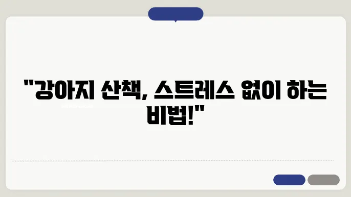 강지 산책, 이렇게 하면 문제 해결!