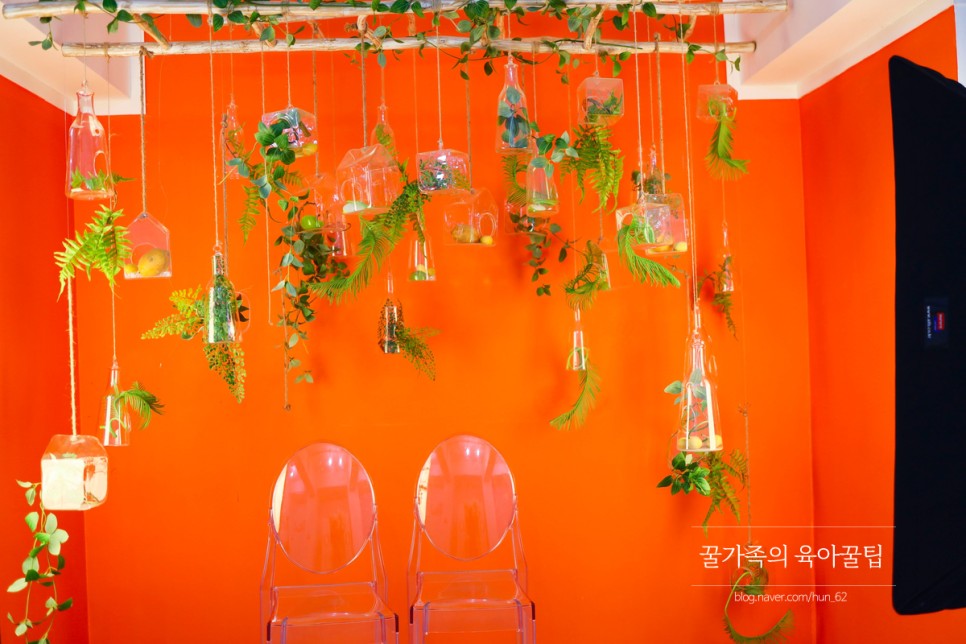 경북 축제 경북 아이와가볼만한곳 청도 20