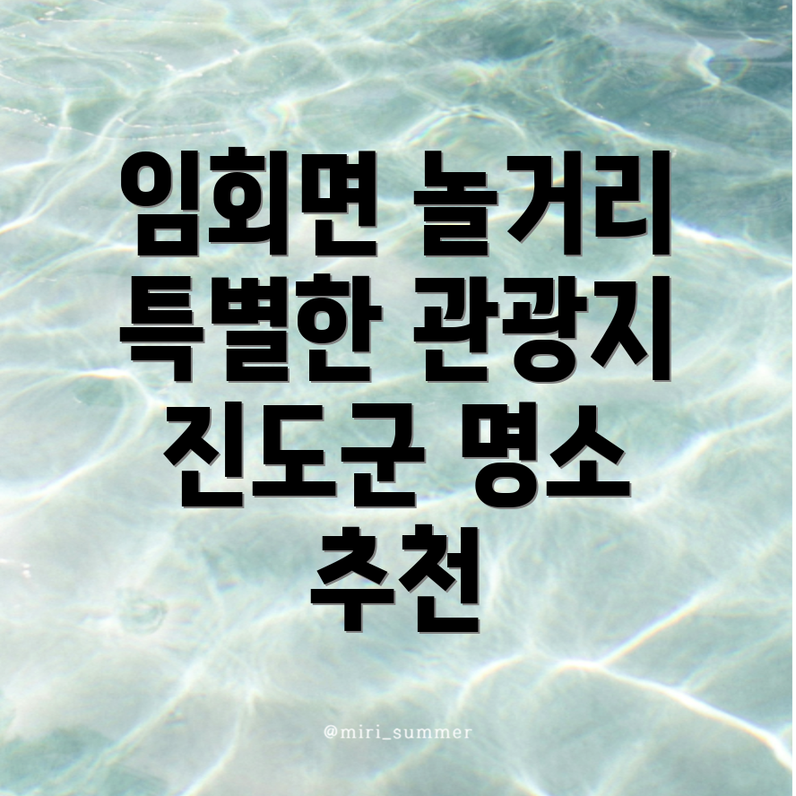 진도군 임회면 놀거리 추천