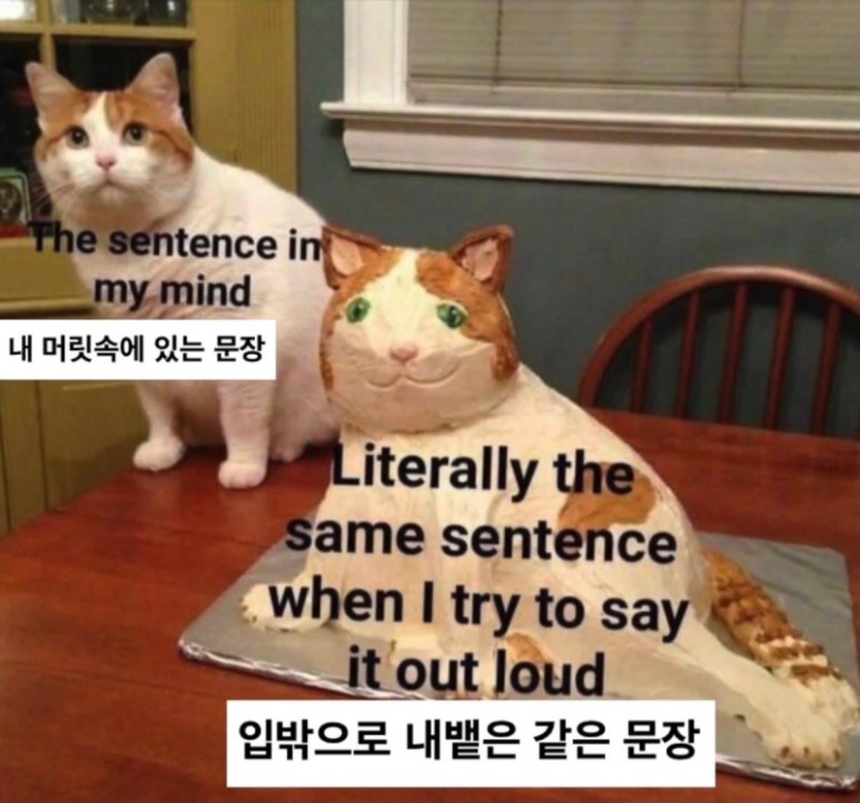  MBTI 유형 짤 24