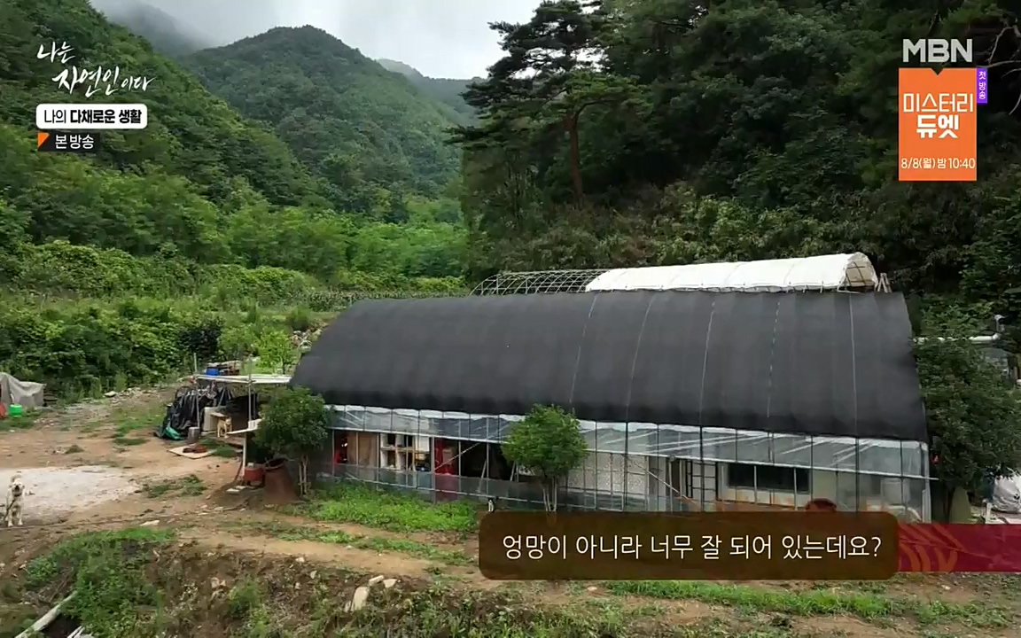 나는 자연인이다.E513.220804p-NEXT.mp4_20220804_201951.244.jpg