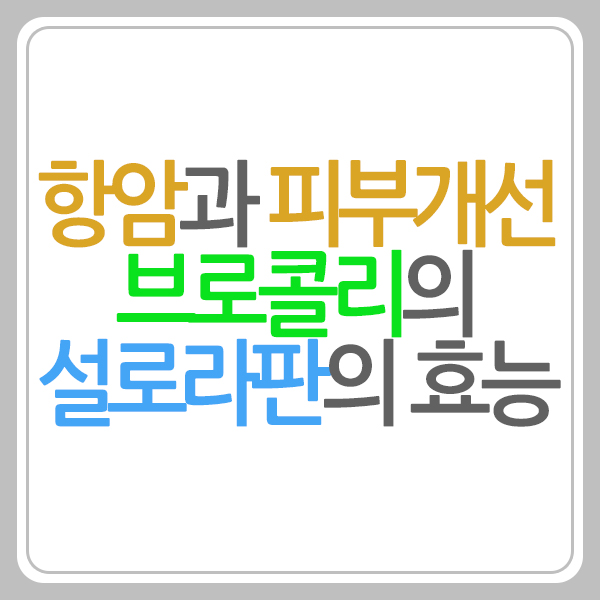 설로라판 효능