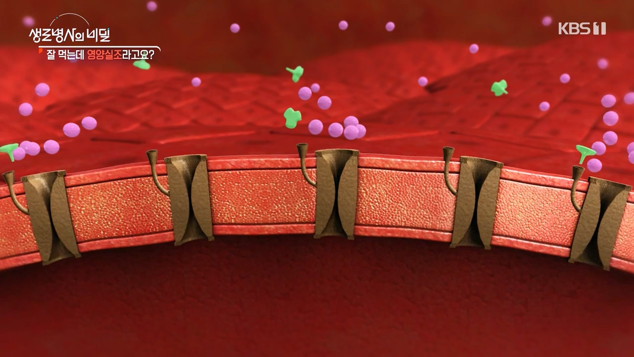 생로병사의 비밀.E906.240328p-NEXT.mp4_20240328_210403.030.jpg