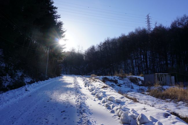 눈 쌓인 고갯길&#44; 역광&#44; 양쪽에 숲&#44; 푸른 하늘&#44;