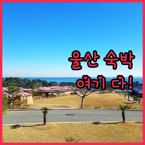 울산 숙박 완벽 가이드 인기 펜션 호