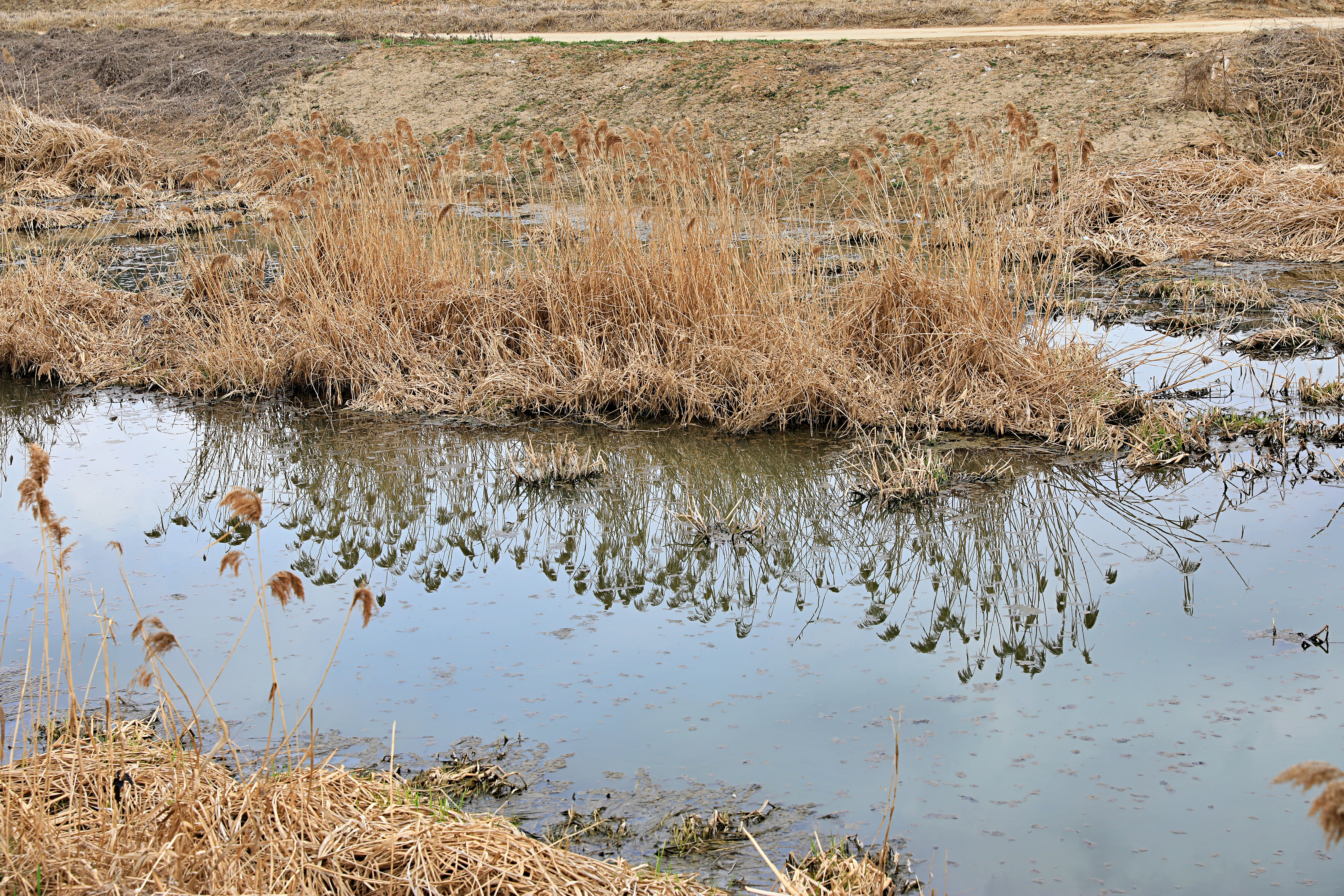 평택섭길(바닷물길) 239