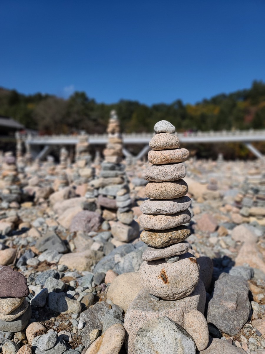 백담사 단풍 멋지다 ( 셔틀버스안내 ) 강원도 인제 여행 / 설악산 26