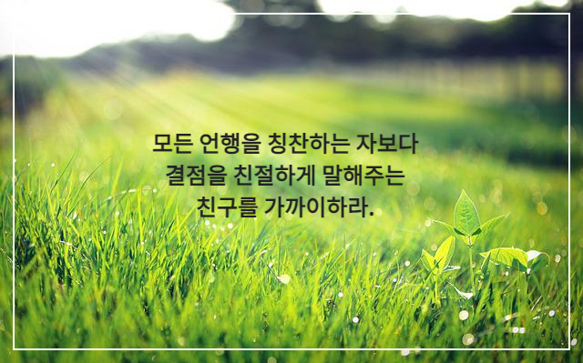 이슬 맺친 잔디 위에 비치는 햇빛