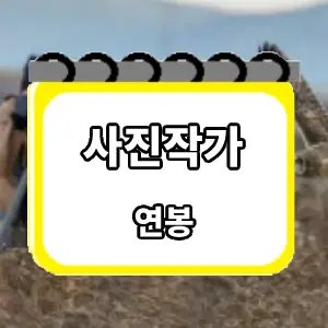 연봉