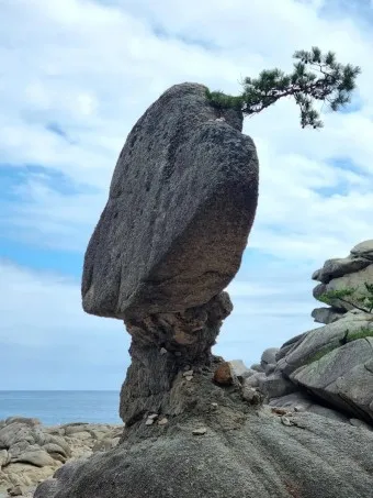 경남 고성 가볼만한곳 베스트 10 추천 휴식 고성_14