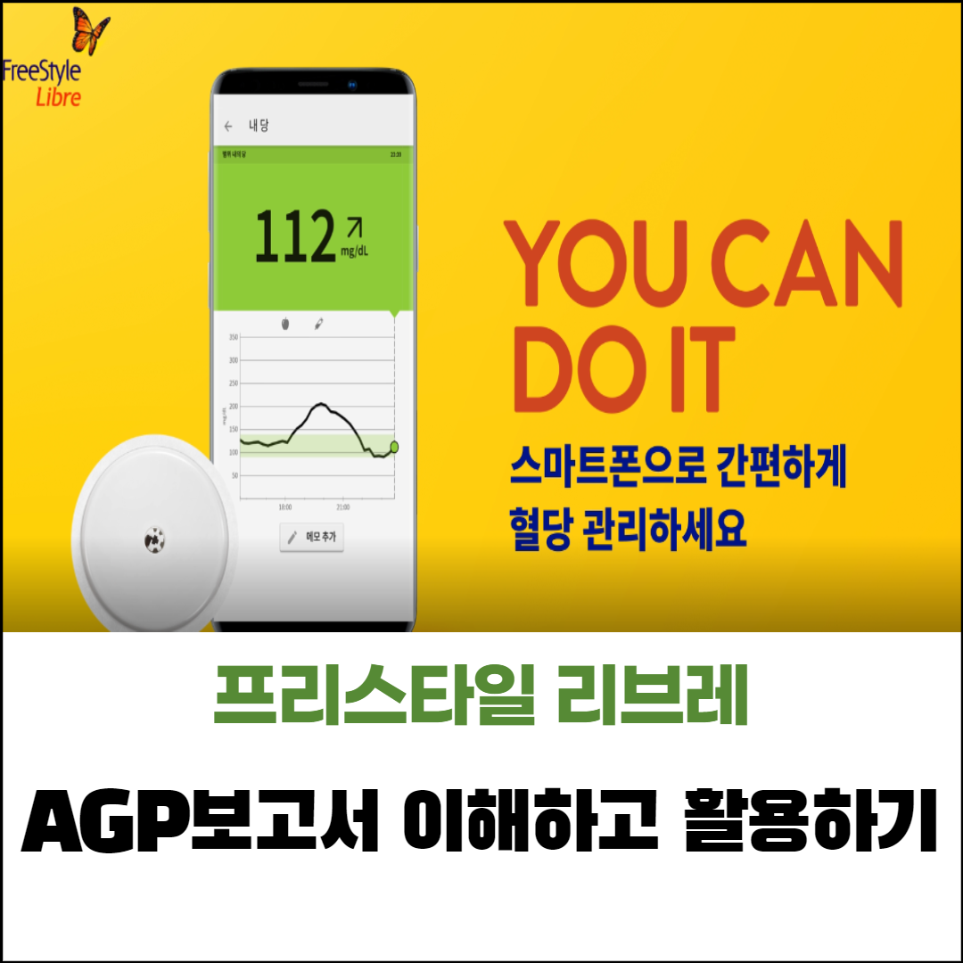  프리스타일 리브레 AGP 보고서 이해하고 활용하기