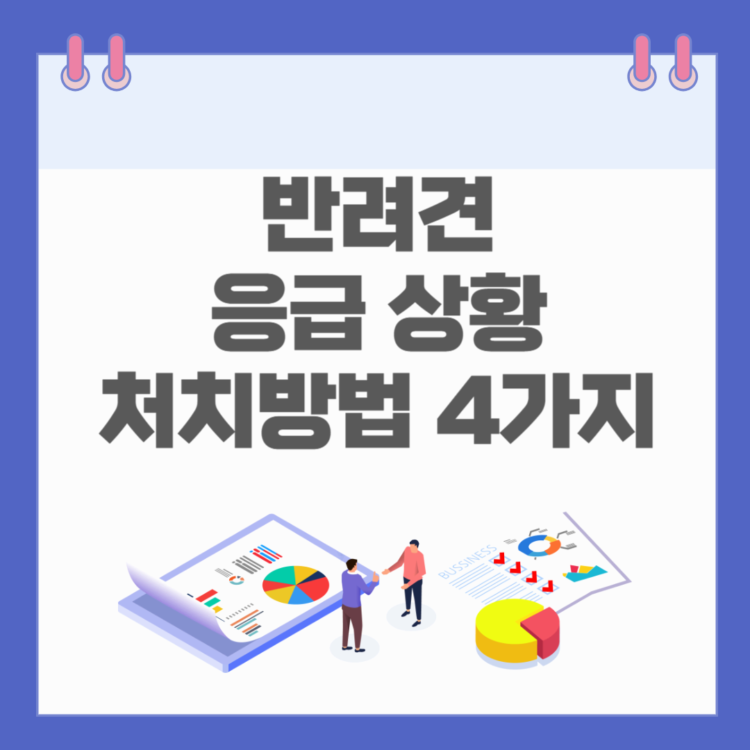 반려견 응급 상황 처치방법 4가지