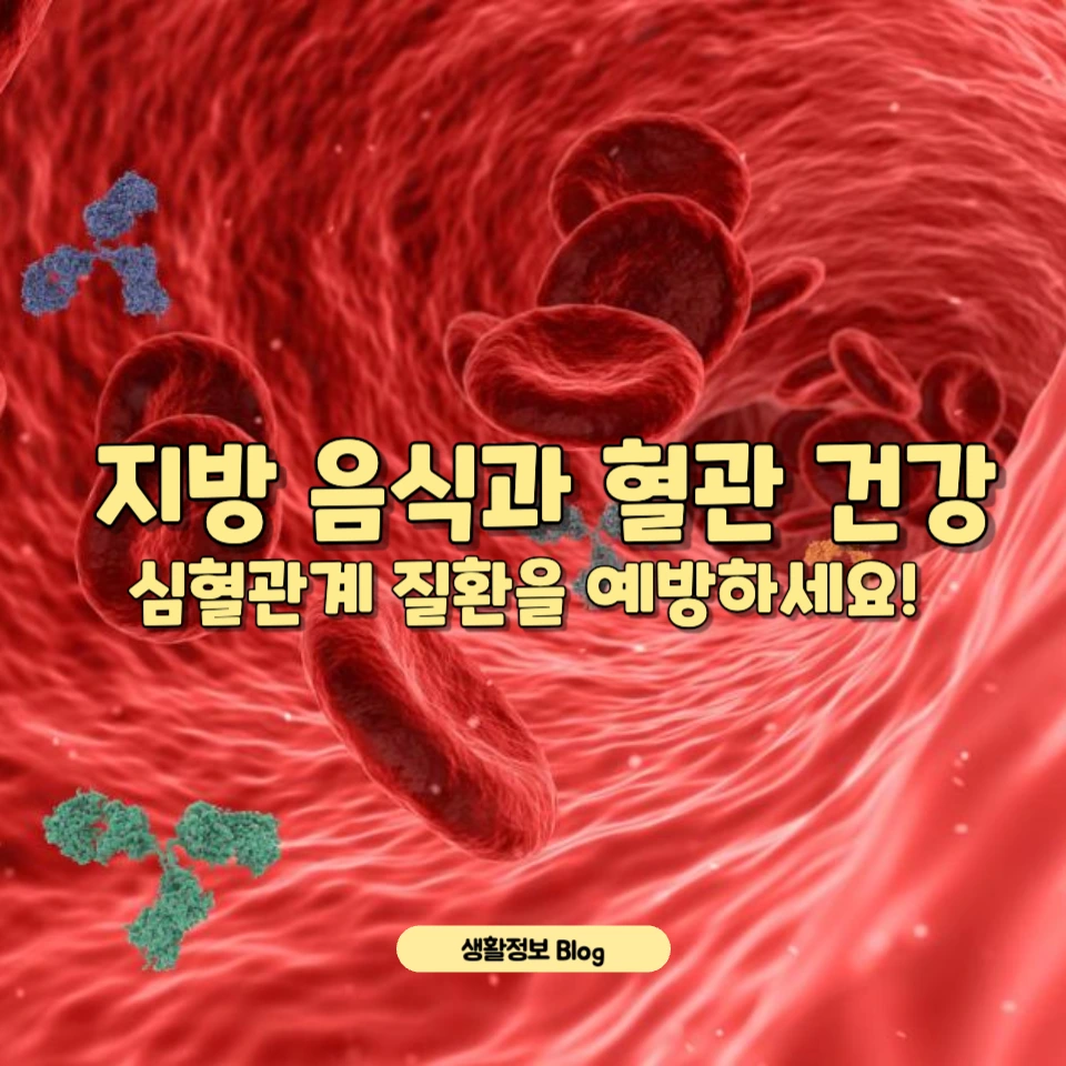 혈관질환자가 피해야 할 고지방 음식