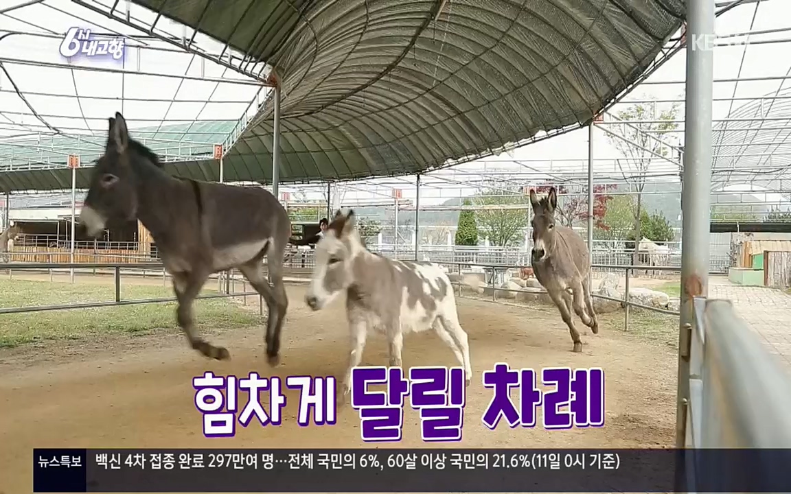 6시 내고향.E7530.220512p.H264-F1RST.mp4_20220516_191224.729.jpg