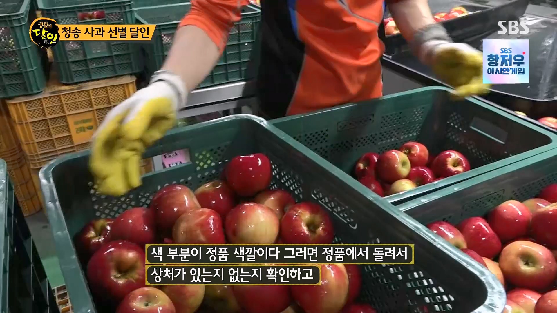 생활의 달인.E906.230918p.H264-F1RST.mp4_20230919_212322.964.jpg